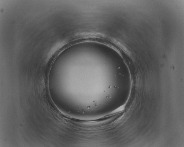 X0000070881261200606231334