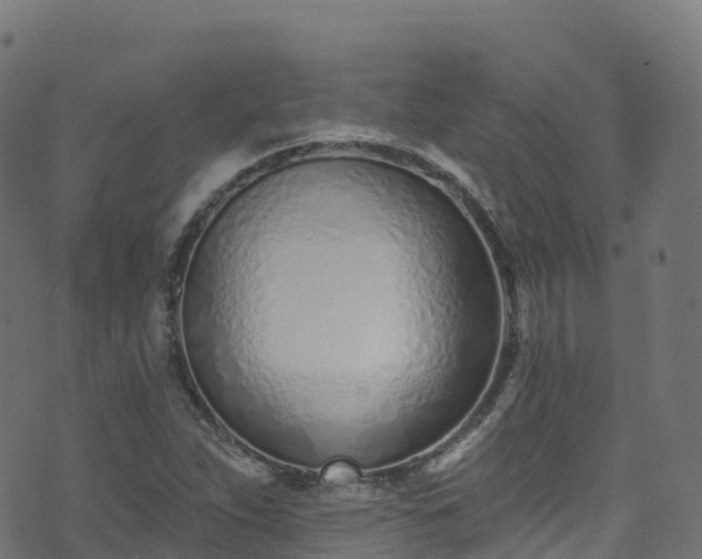 X0000070881263200606231334