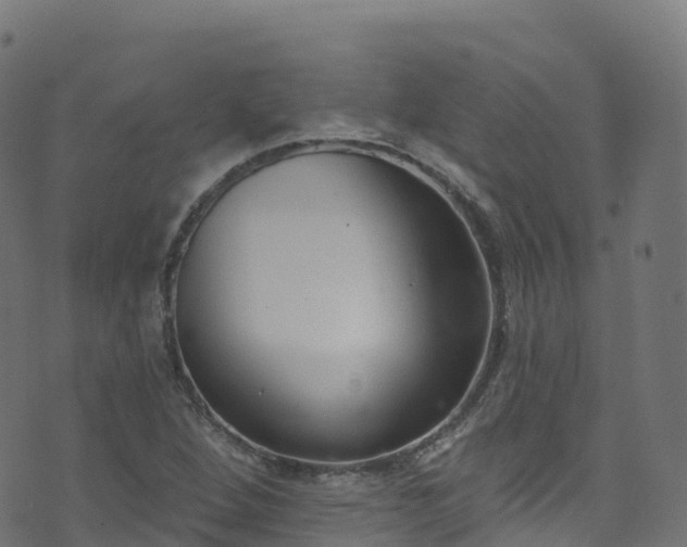 X0000070881264200606231334