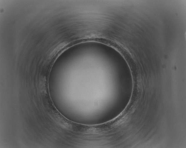 X0000070881265200606231334