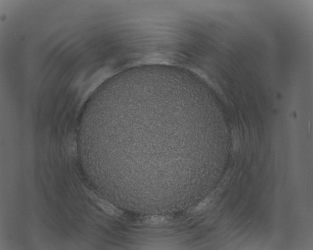 X0000070881266200606231334