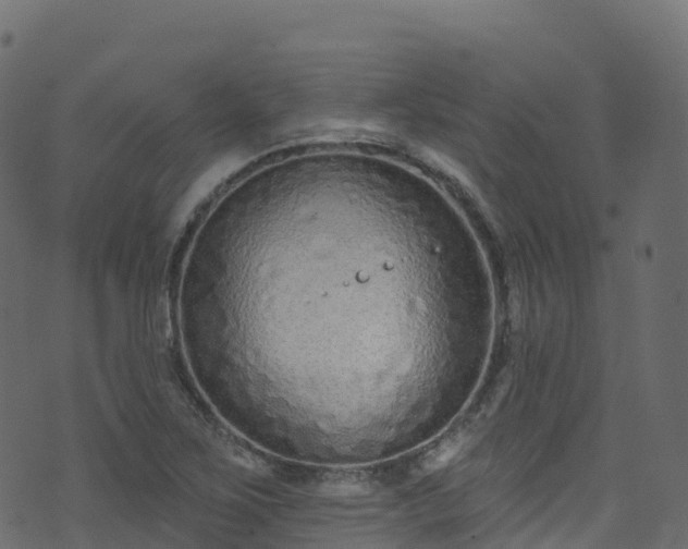 X0000070881267200606231334