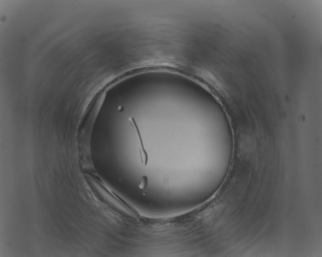 X0000070881268200606231334