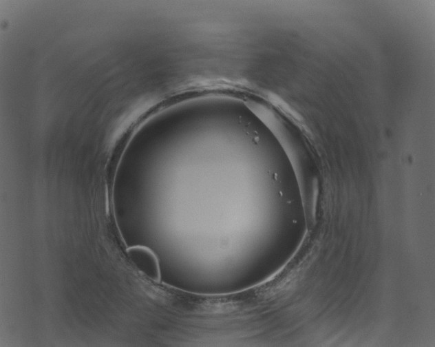 X0000070881269200606231334