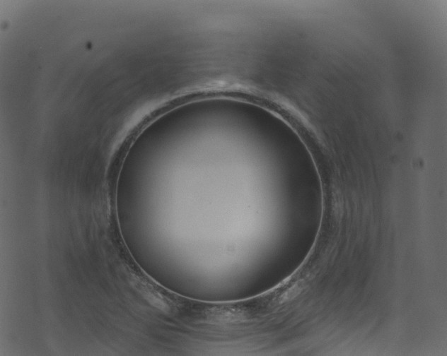 X0000070881270200606231334