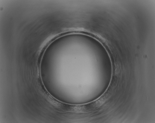 X0000070881271200606231334