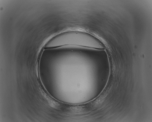 X0000070881272200606231334