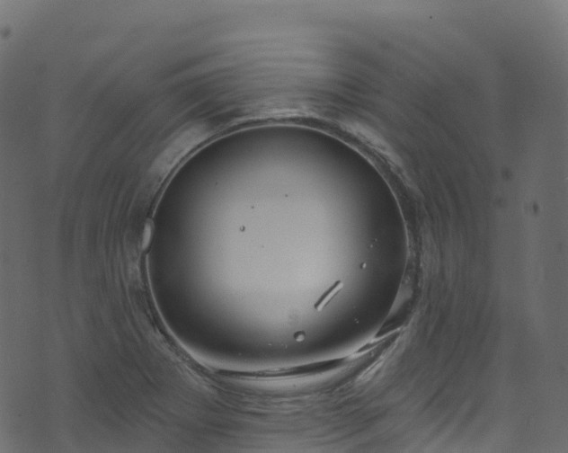 X0000070881273200606231334