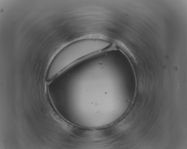 X0000070881276200606231334