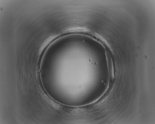 X0000070881277200606231334