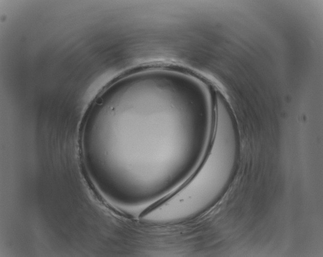 X0000070881279200606231334