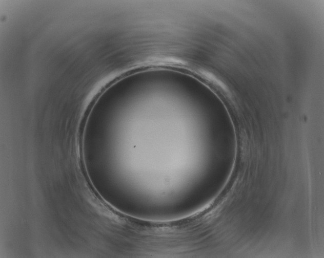 X0000070881280200606231333