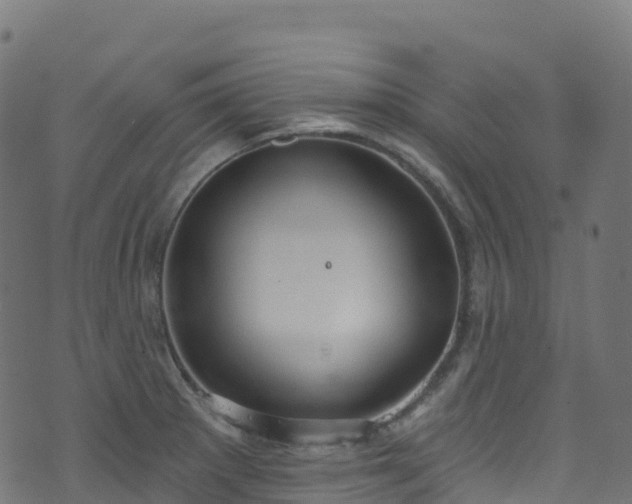 X0000070881281200606231333