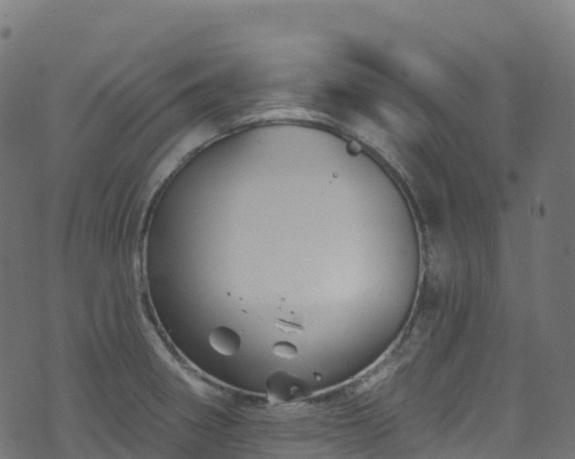 X0000070881282200606231333