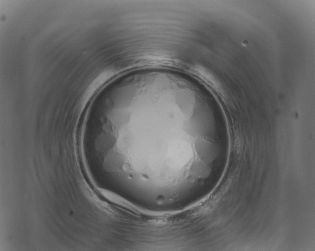 X0000070881283200606231333