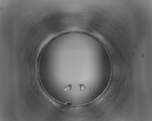 X0000070881286200606231333