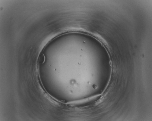 X0000070881287200606231333