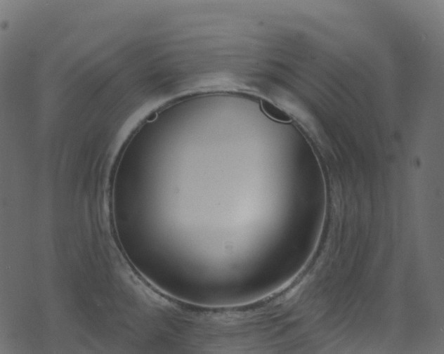 X0000070881288200606231333