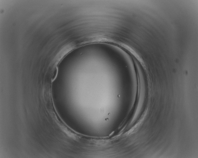 X0000070881289200606231333