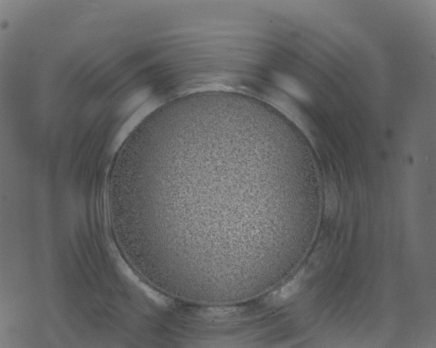 X0000070881290200606231333