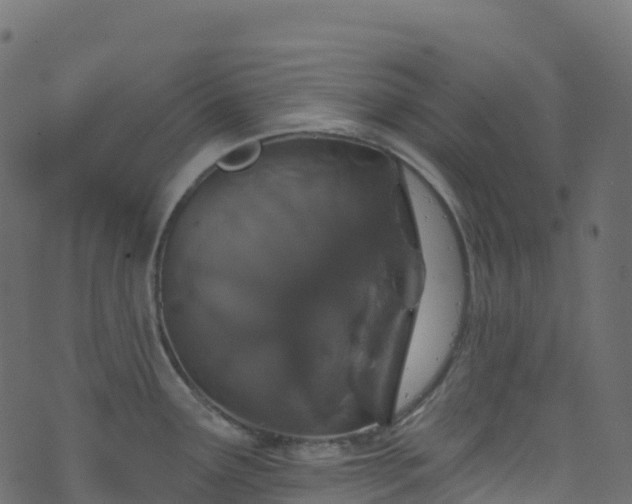 X0000070881291200606231333