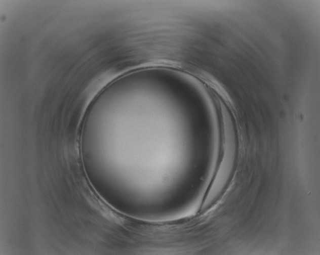 X0000070881292200606231333