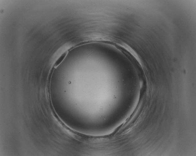 X0000070881293200606231333