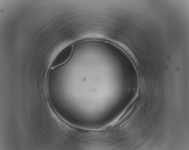 X0000070881295200606231333