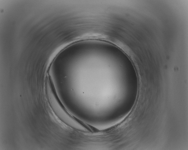 X0000070881296200606231333