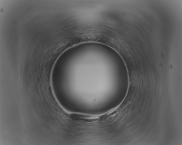 X0000070881297200606231332