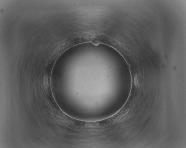 X0000070881299200606231332