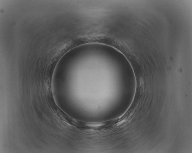 X0000070881300200606231333