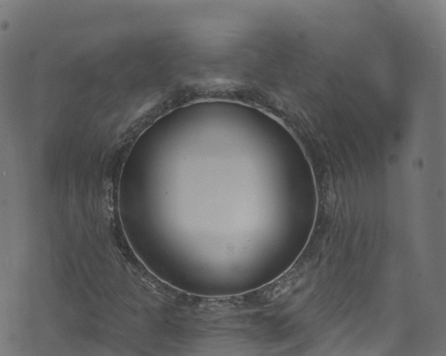 X0000070881301200606231333