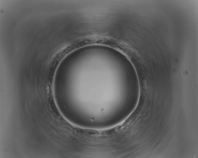 X0000070881302200606231333