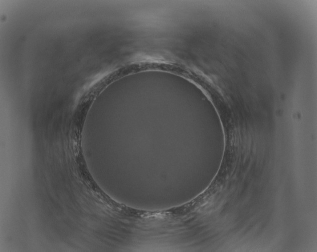 X0000070881303200606231333