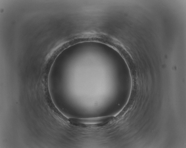 X0000070881304200606231333