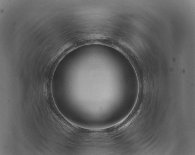 X0000070881305200606231333