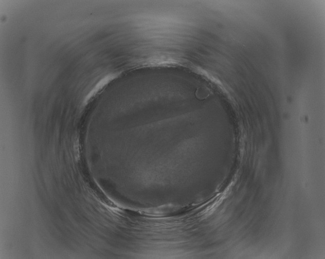 X0000070881306200606231333