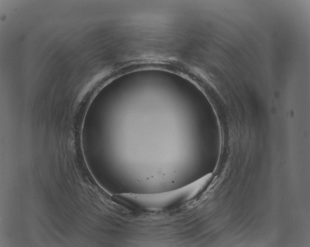 X0000070881307200606231333