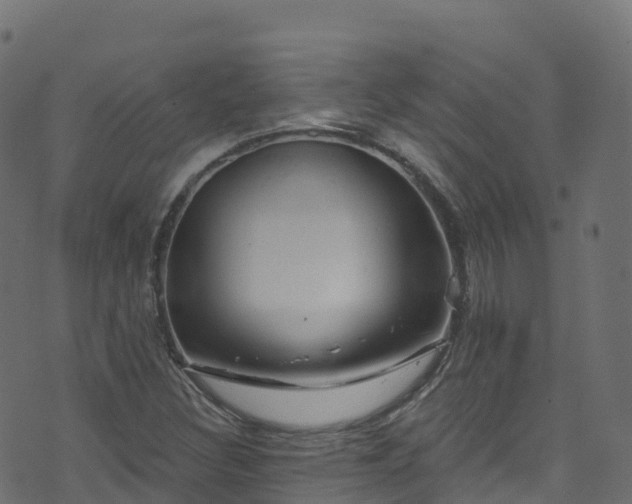 X0000070881308200606231333