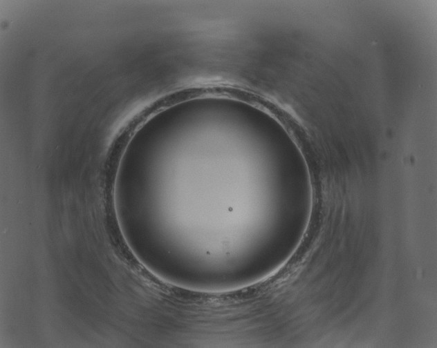 X0000070881311200606231333