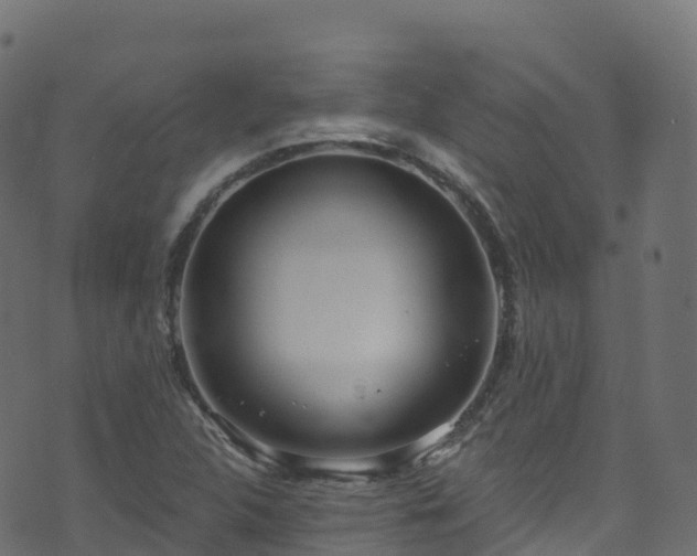 X0000070881312200606231333