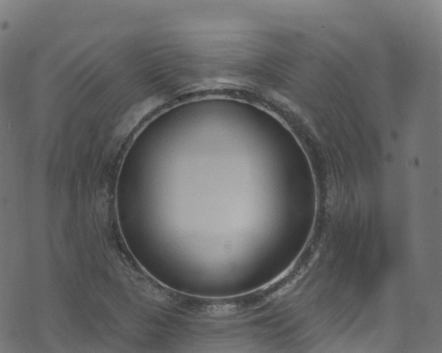 X0000070881313200606231333