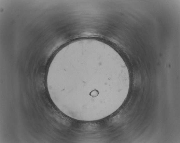 X0000070881314200606231333