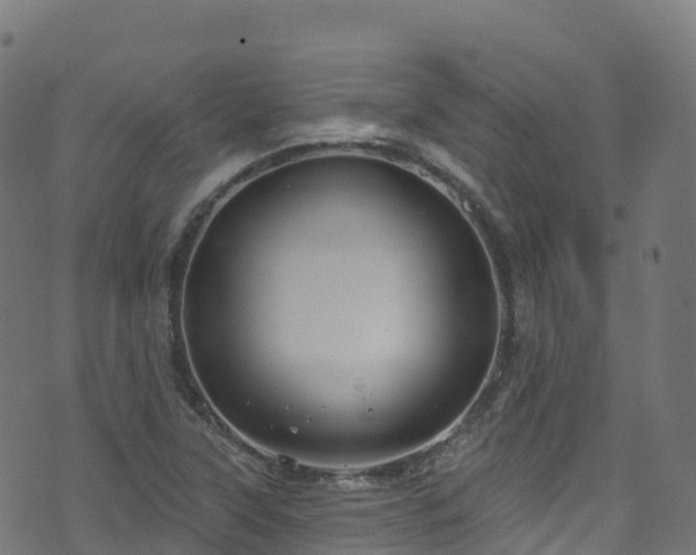 X0000070881315200606231333