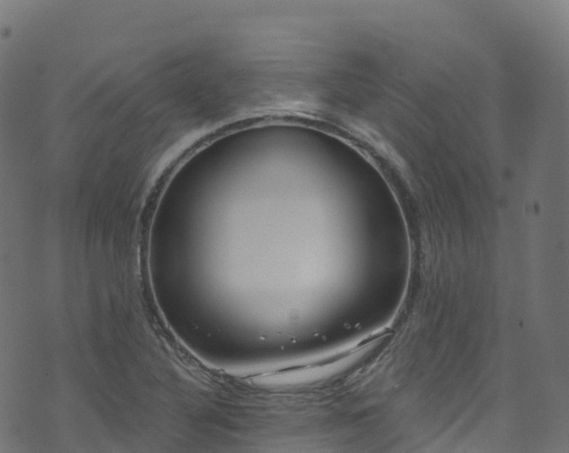 X0000070881316200606231333