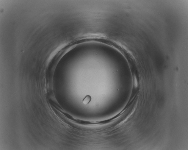 X0000070881317200606231333