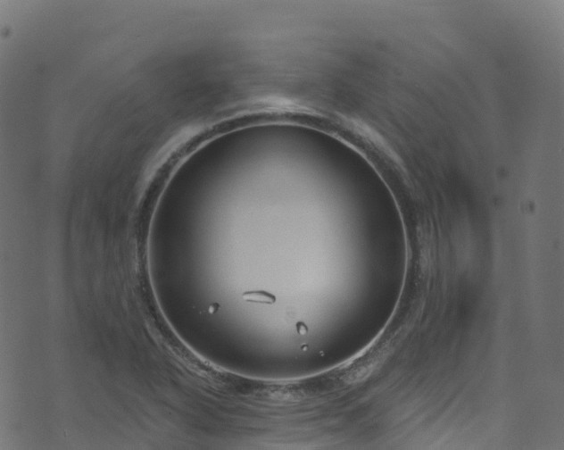 X0000070881318200606231333