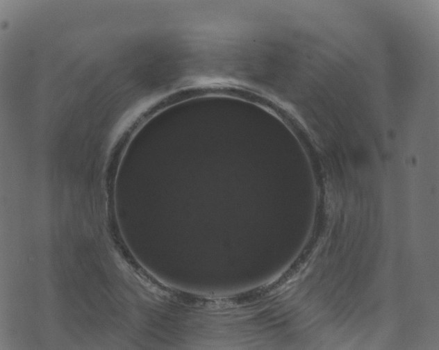 X0000070881319200606231333