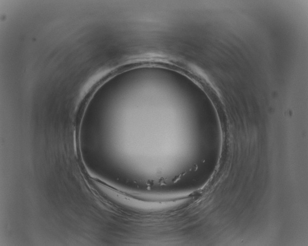 X0000070881320200606231333